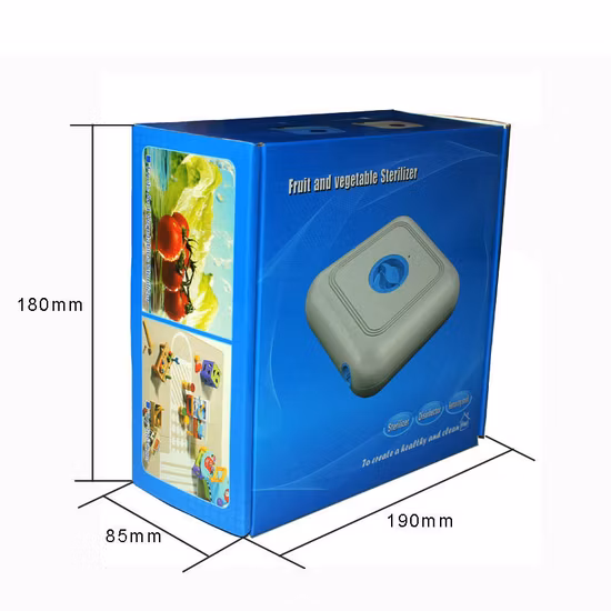 300mg/H オゾンフルーツウォッシャーキッチン用携帯用水処理装置